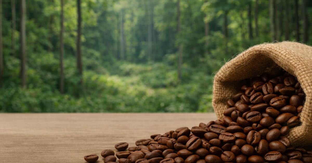 Pourquoi les prix du café augmentent à cause de la législation européenne sur la déforestation